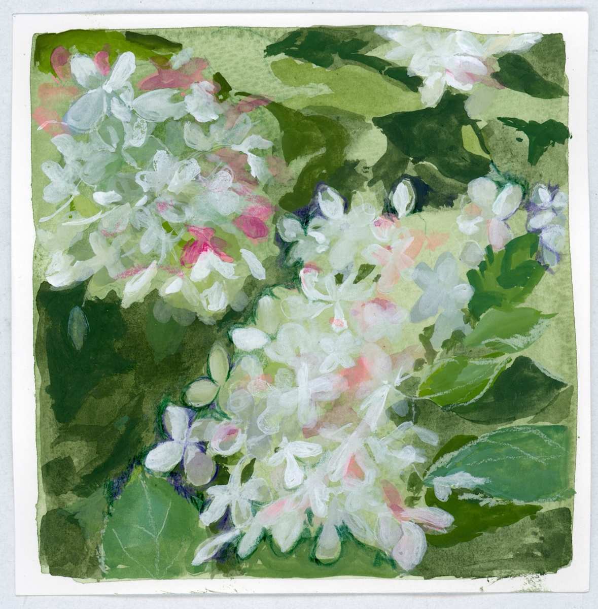 Hydrangea by Sarah Jaynes, Image 2.