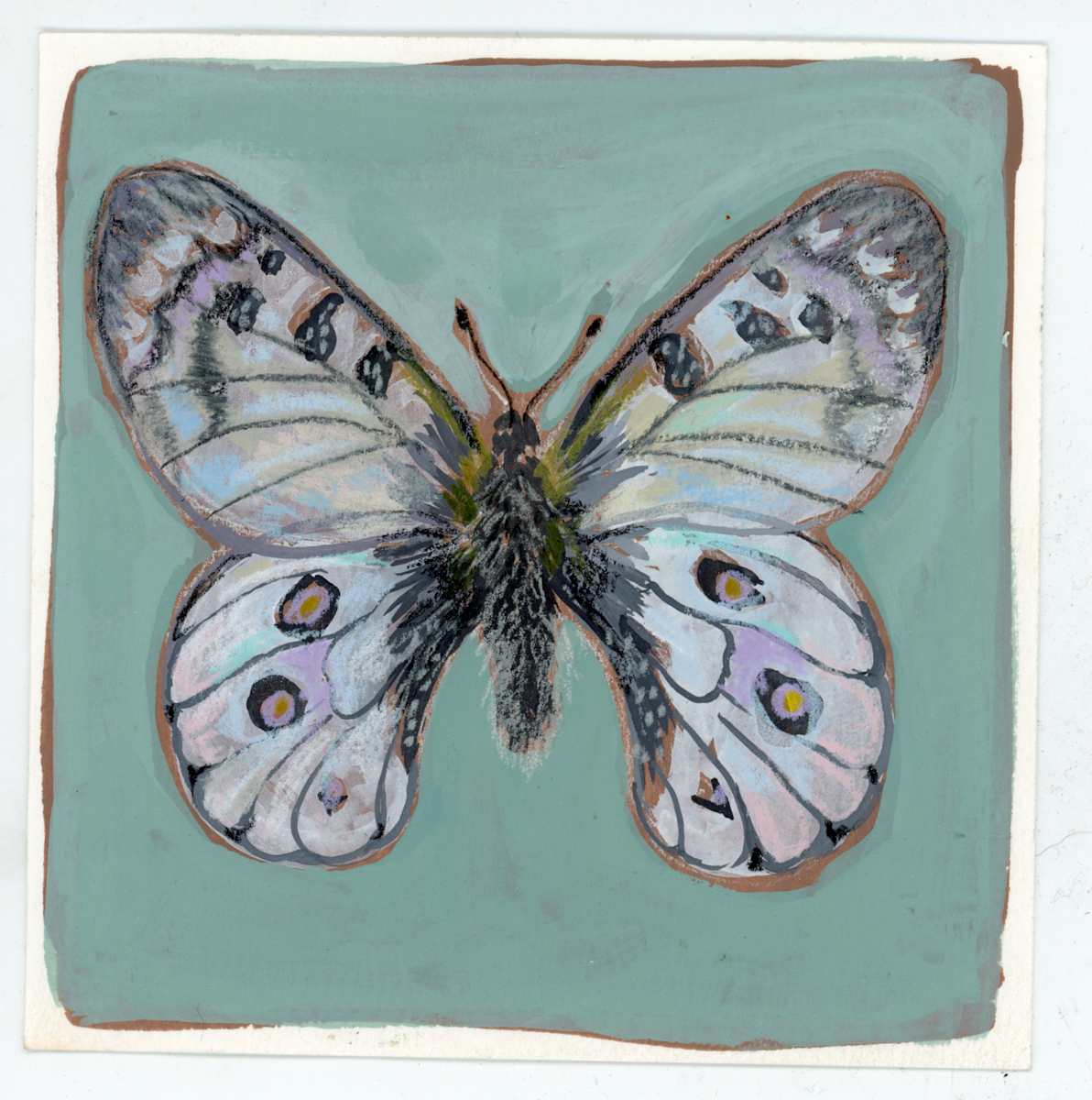 Parnassius Phoebus by Sarah Jaynes  Image: Parnassius Phoebus
Gouache and pencil crayon on paper
5x5 inches
Sarah Jaynes
2025