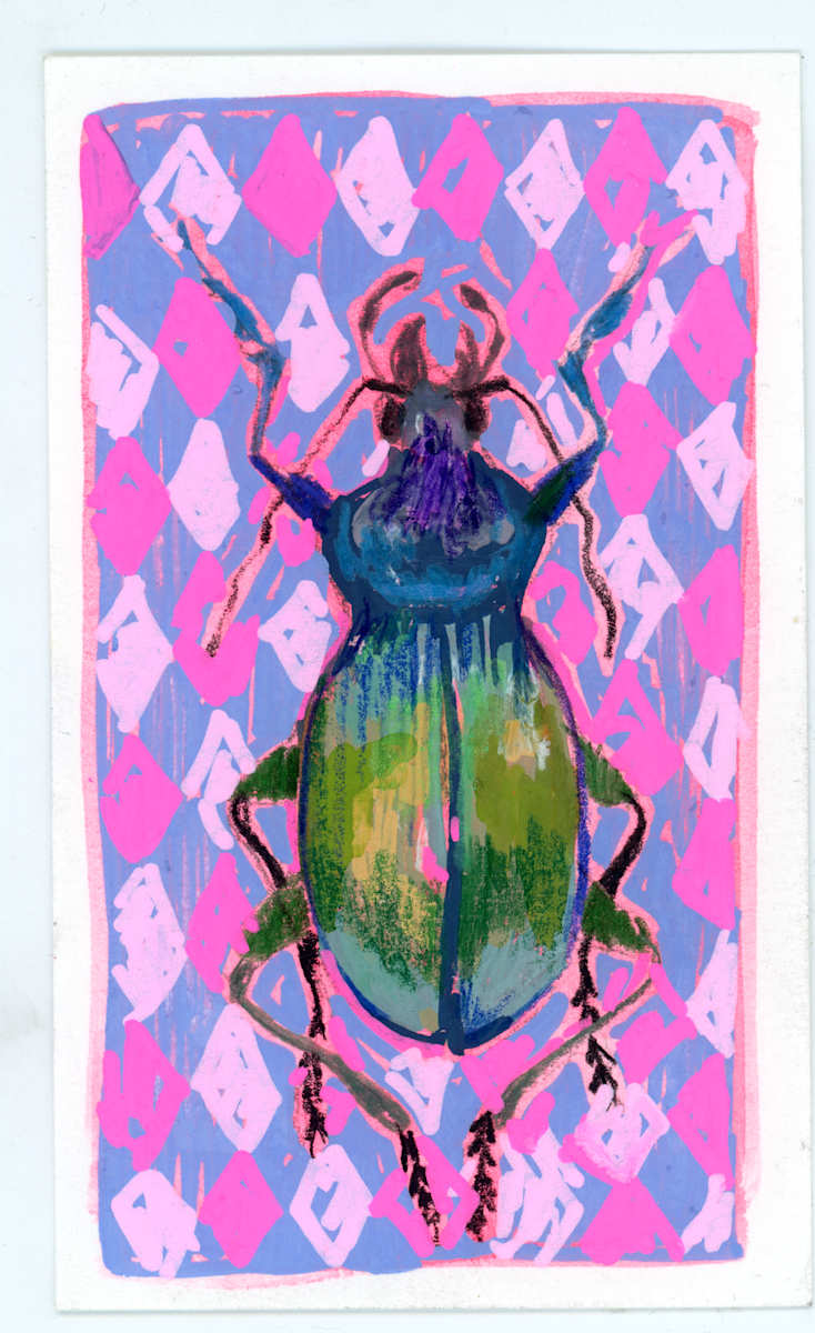 Calosoma Sicophanta by Sarah Jaynes  Image: Calosoma Sicophanta
Gouache, Molotow marker and pencil crayon on Canson paper
3x5
Sarah Jaynes
2025