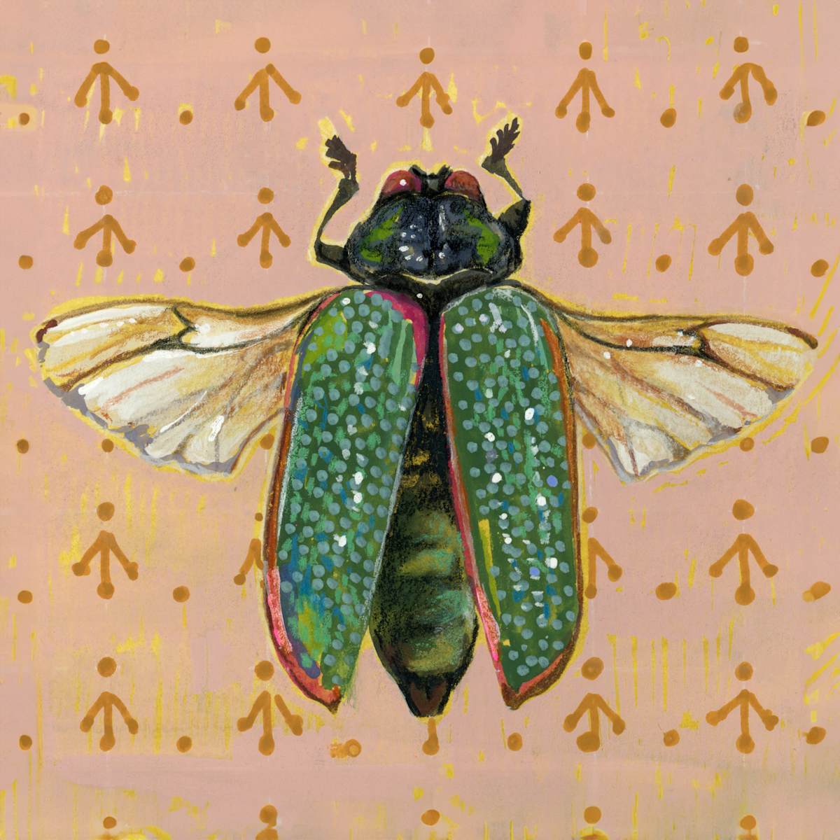 Chrysophana Placida by Sarah Jaynes  Image: Chrysophana Placida