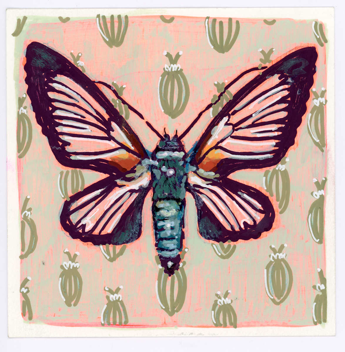 Cocytia Durvillii by Sarah Jaynes  Image: Cocytia Durvillii
Gouache and Molotow marker and pencil crayon on paper
5x5
Sarah Jaynes
2025