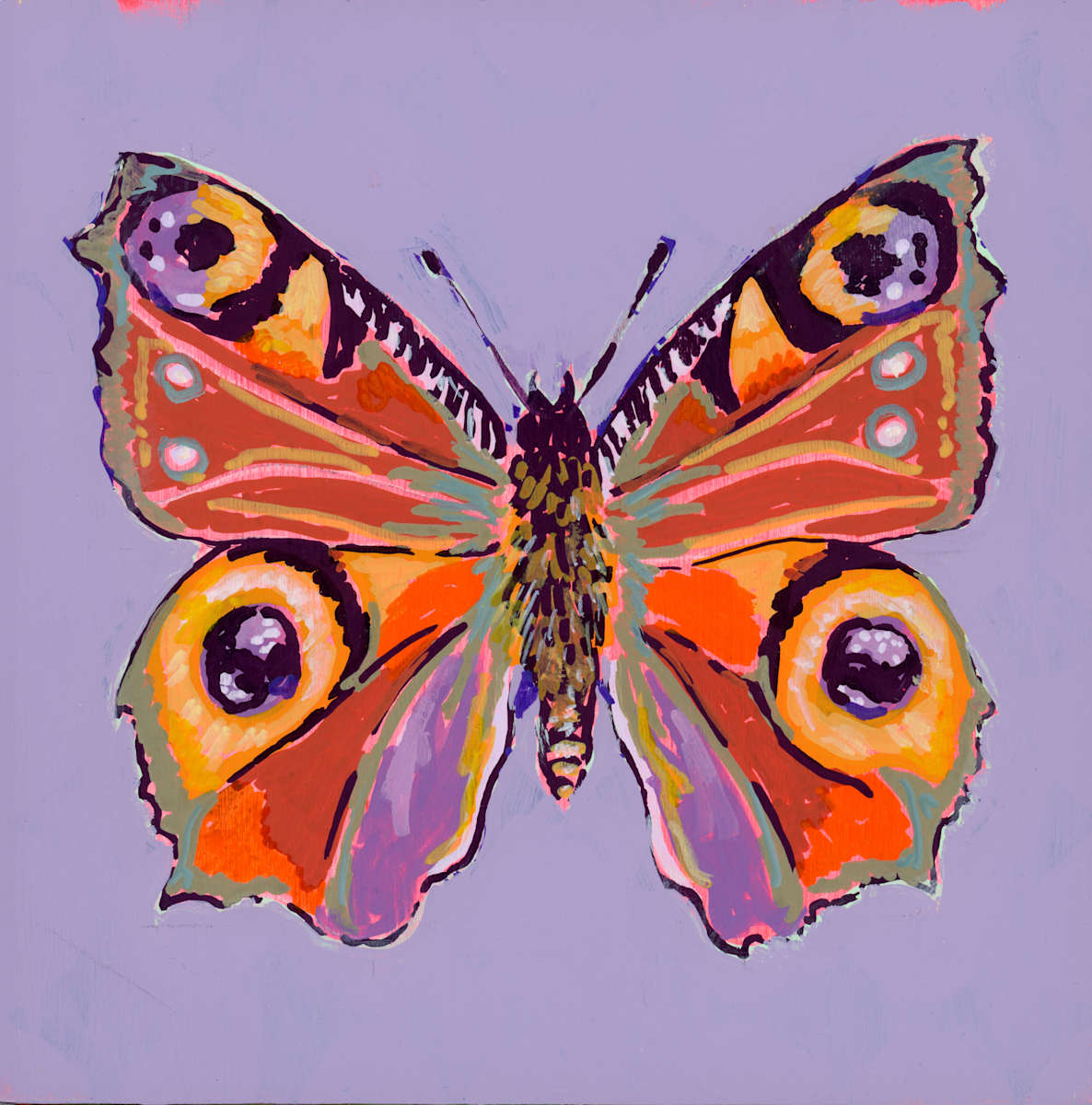 Inachis io (2.0) by Sarah Jaynes, Image 2.