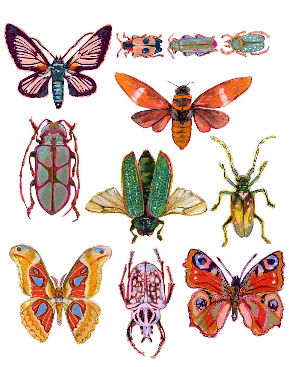 Bug Mash Up by Sarah Jaynes  Image: Bug Mash Up
Digital File
Sarah Jaynes
2025