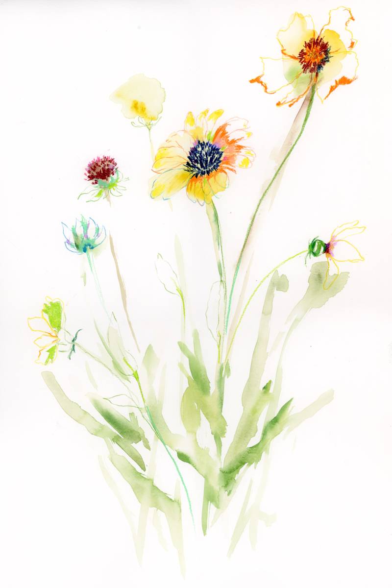 Charlevoix Floral by Sarah Jaynes  Image: Charlevoix Floral
Gouache and pencil crayon on watercolour paper
15x22
Sarah Jaynes
2025