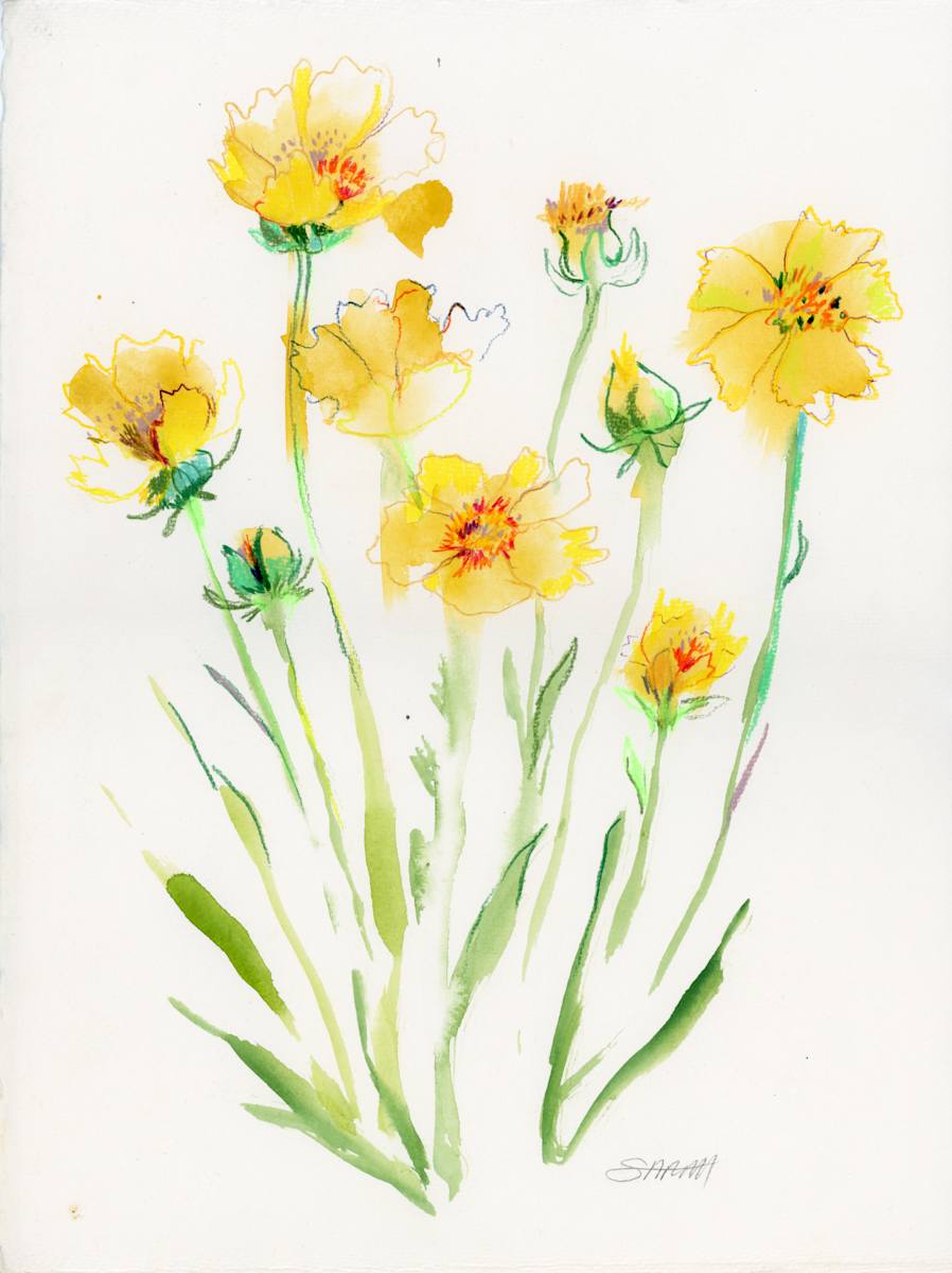 Charlevoix Floral 2 by Sarah Jaynes  Image: Charlevoix Floral 2
Gouache and pencil crayon on watercolour paper
11x15
Sarah Jaynes
2025