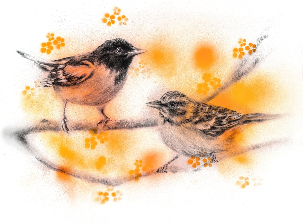 BALTIMORE ORIOLES by Sarah Jaynes  Image: BALTIMORE ORIOLES
Sarah Jaynes
2015
Charcoal and Spray Paint
22x30 in