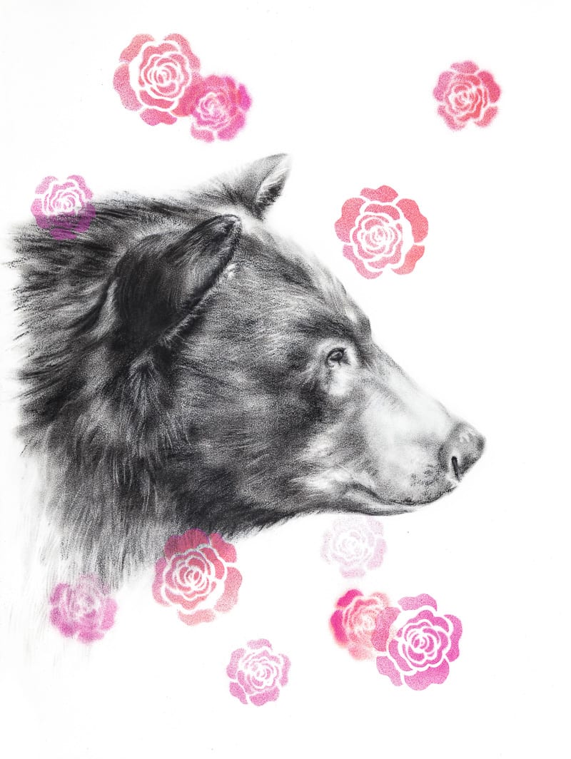 BEAR WITH ROSES by Sarah Jaynes  Image: BEAR WITH ROSES
Sarah Jaynes
2015
Charcoal and Spray Paint
22x30 in