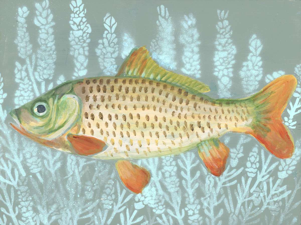 CARP by Sarah Jaynes, Image 2.