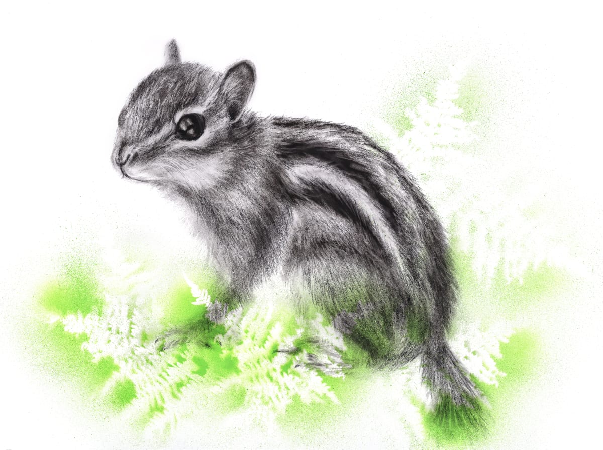 CHIPMUNK by Sarah Jaynes  Image: CHIPMUNK
Sarah Jaynes
2015
Charcoal and Spray Paint
22x30 in