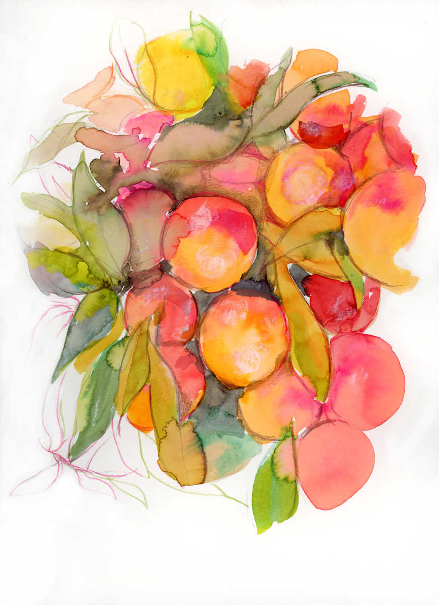 Clementines 2 by Sarah Jaynes, Image 2.