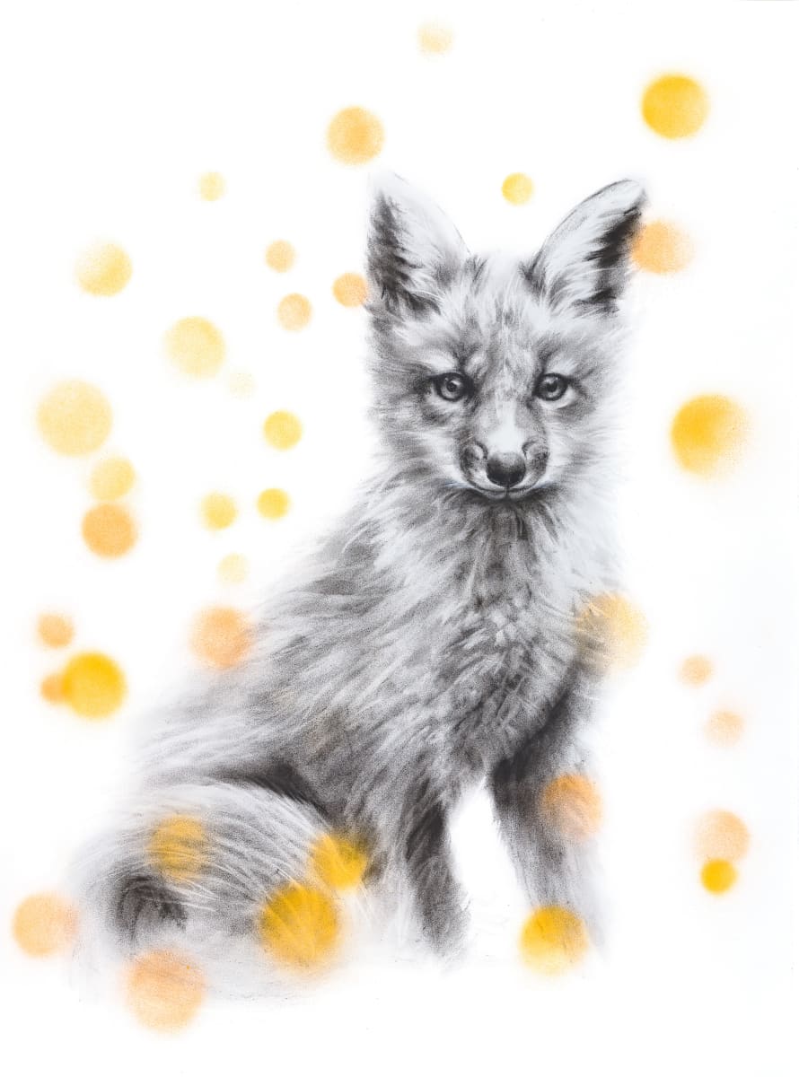 FOX WITH ORANGE by Sarah Jaynes  Image: FOX WITH ORANGE
Sarah Jaynes
2015
Charcoal and Spray Paint
22x30 in