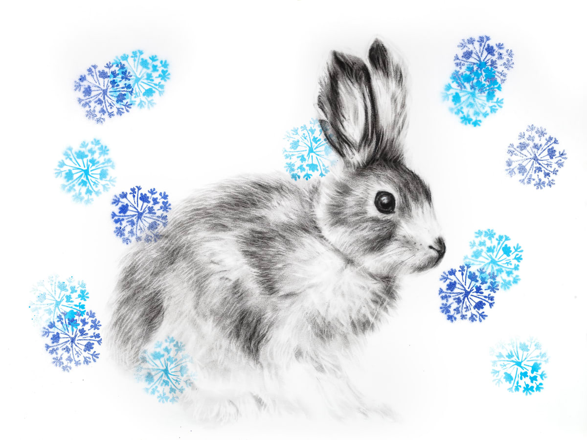 SNOWSHOE HARE by Sarah Jaynes  Image: SNOWSHOE HARE
Sarah Jaynes
2015
Charcoal and Spray Paint
22x30 in