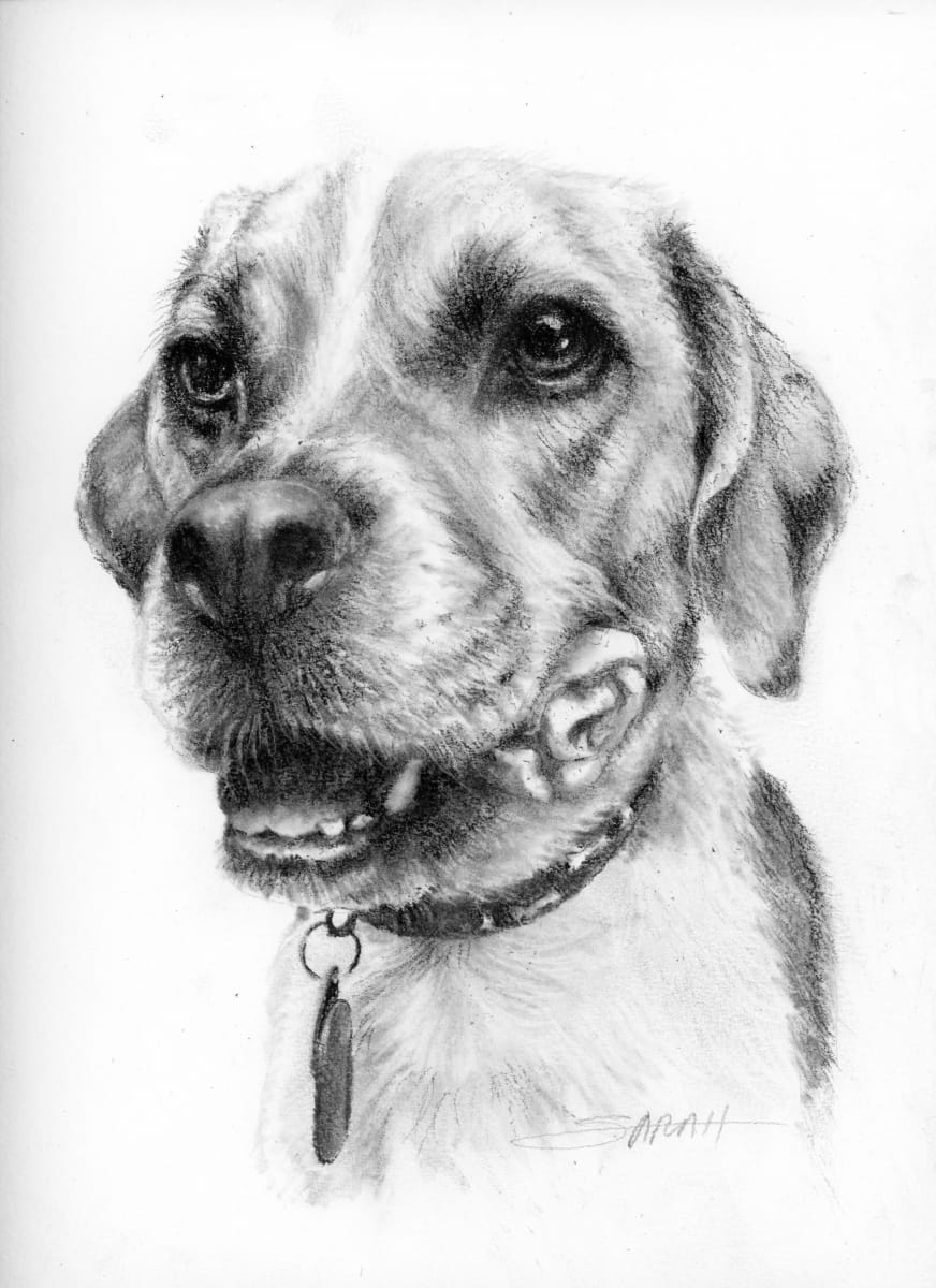 HAYDEN by Sarah Jaynes  Image: Hayden
Charcoal on 140lb Canson paper
9x12
Sarah Jaynes
2024