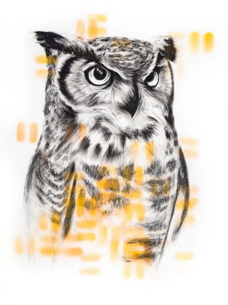 GREAT HORNED OWL by Sarah Jaynes  Image: GREAT HORNED OWL
Sarah Jaynes
2015
Charcoal and Spray Paint
22x30 in