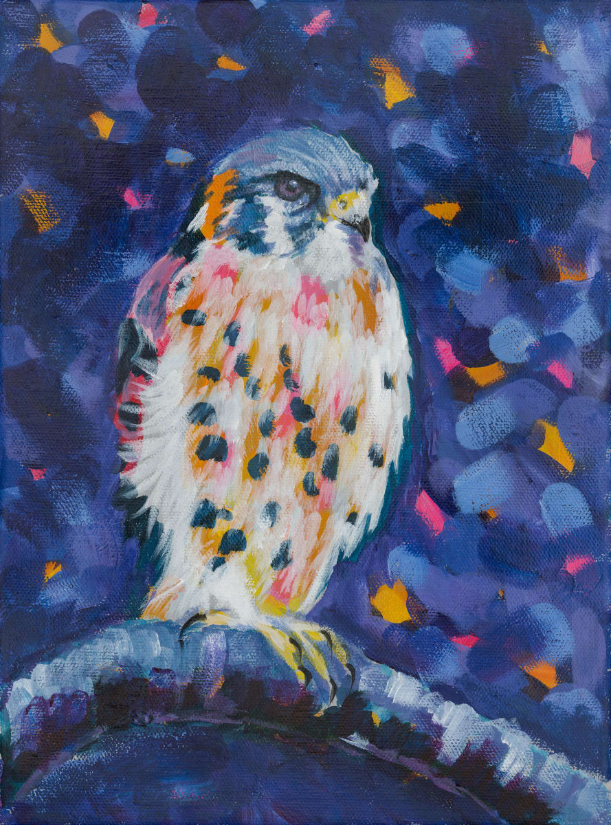 KESTREL by Sarah Jaynes  Image: KESTREL
Sarah Jaynes
2017
Acrylic
8x10 in