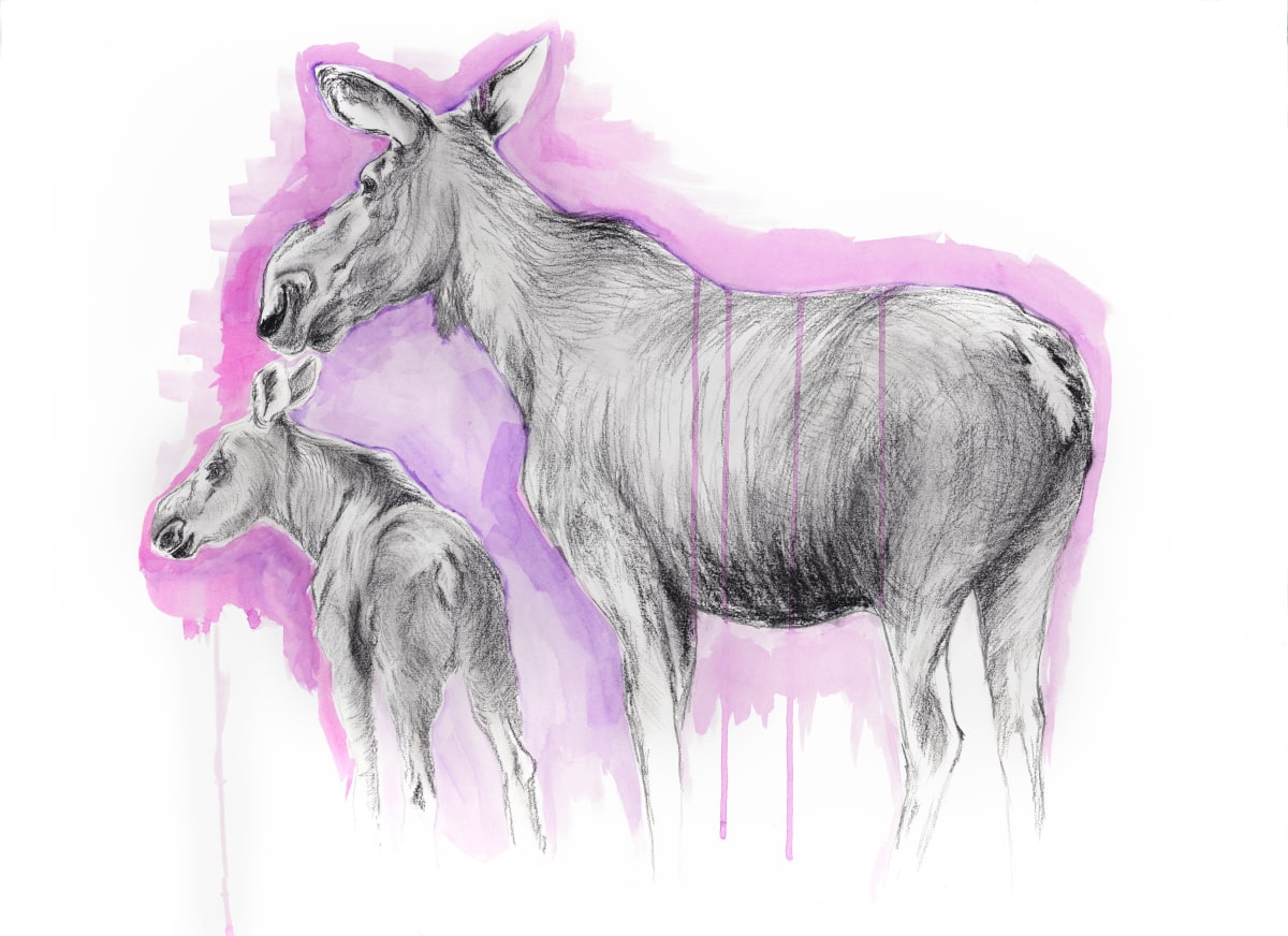 MOOSE AND CALF by Sarah Jaynes  Image: MOOSE AND CALF
Sarah Jaynes
2017
Charcoal and Ink
22x30 in