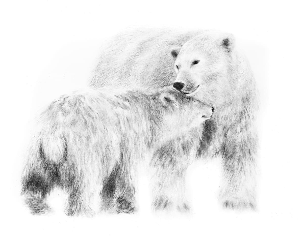 POLAR BEAR AND CUB by Sarah Jaynes  Image: POLAR BEAR AND CUB
Sarah Jaynes
2020
Charcoal
22x30 in