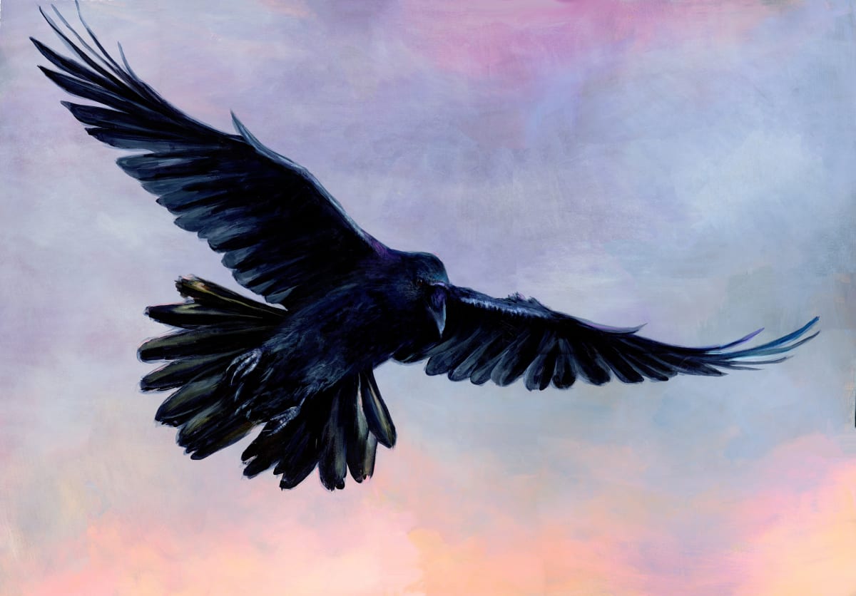 RAVEN IN FLIGHT by Sarah Jaynes  Image: RAVEN IN FLIGHT
Sarah Jaynes
2023
Acrylic
30x40 in
