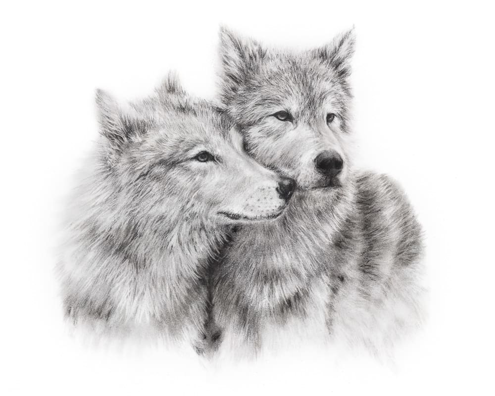 WOLVES by Sarah Jaynes, Image 2.
