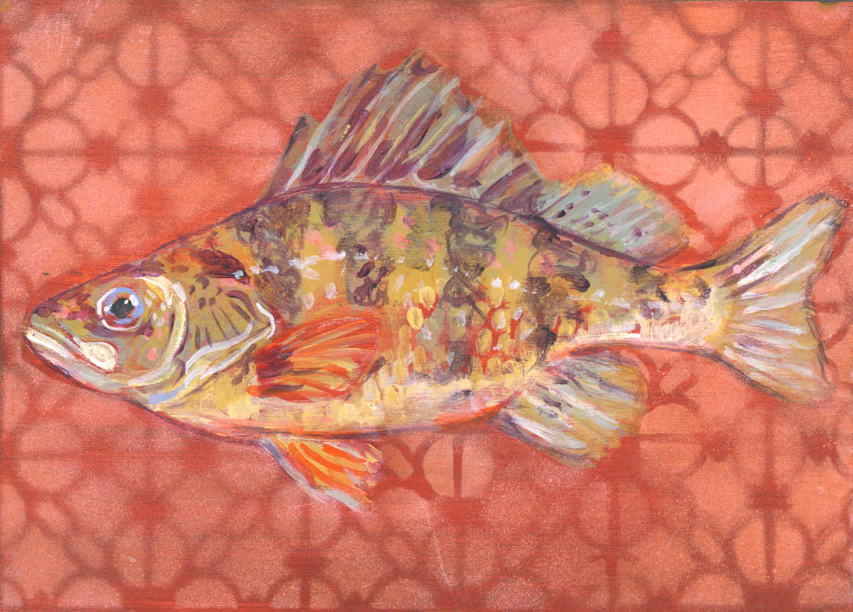 YELLOW PERCH by Sarah Jaynes, Image 2.
