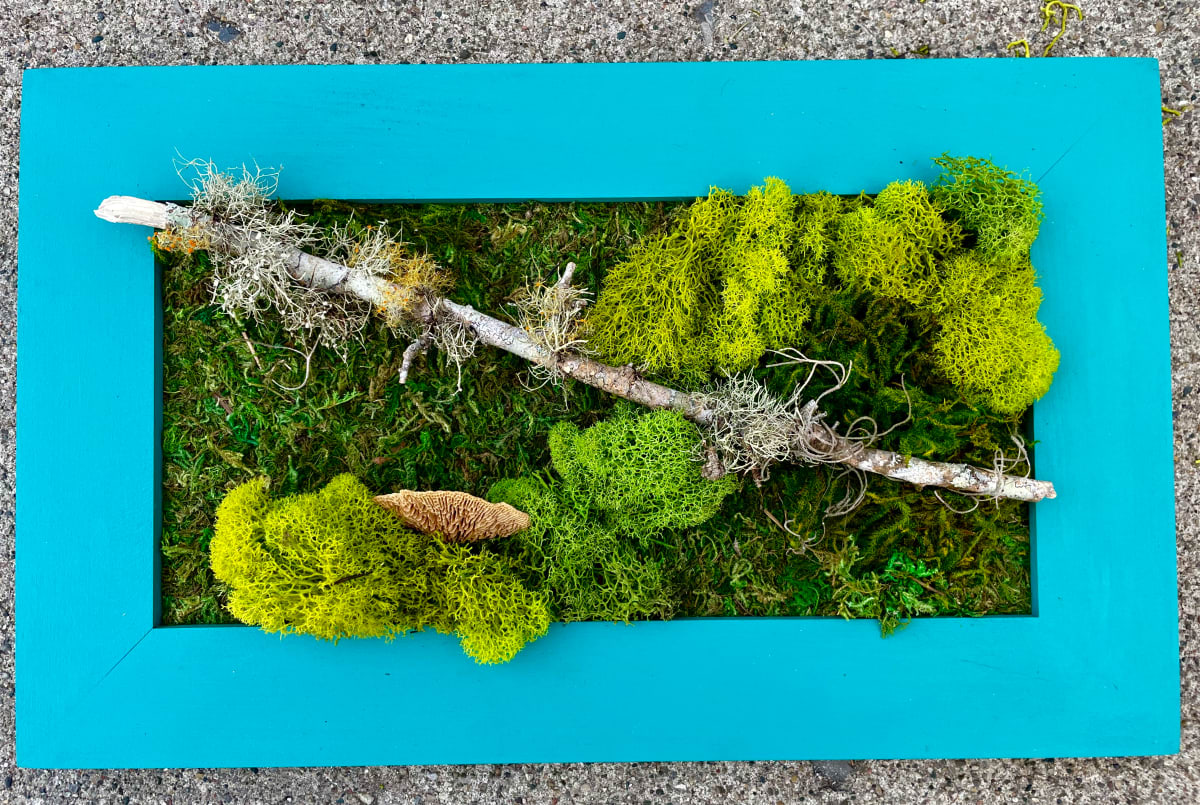 Arkansas Lichen by Sherri Schultz 