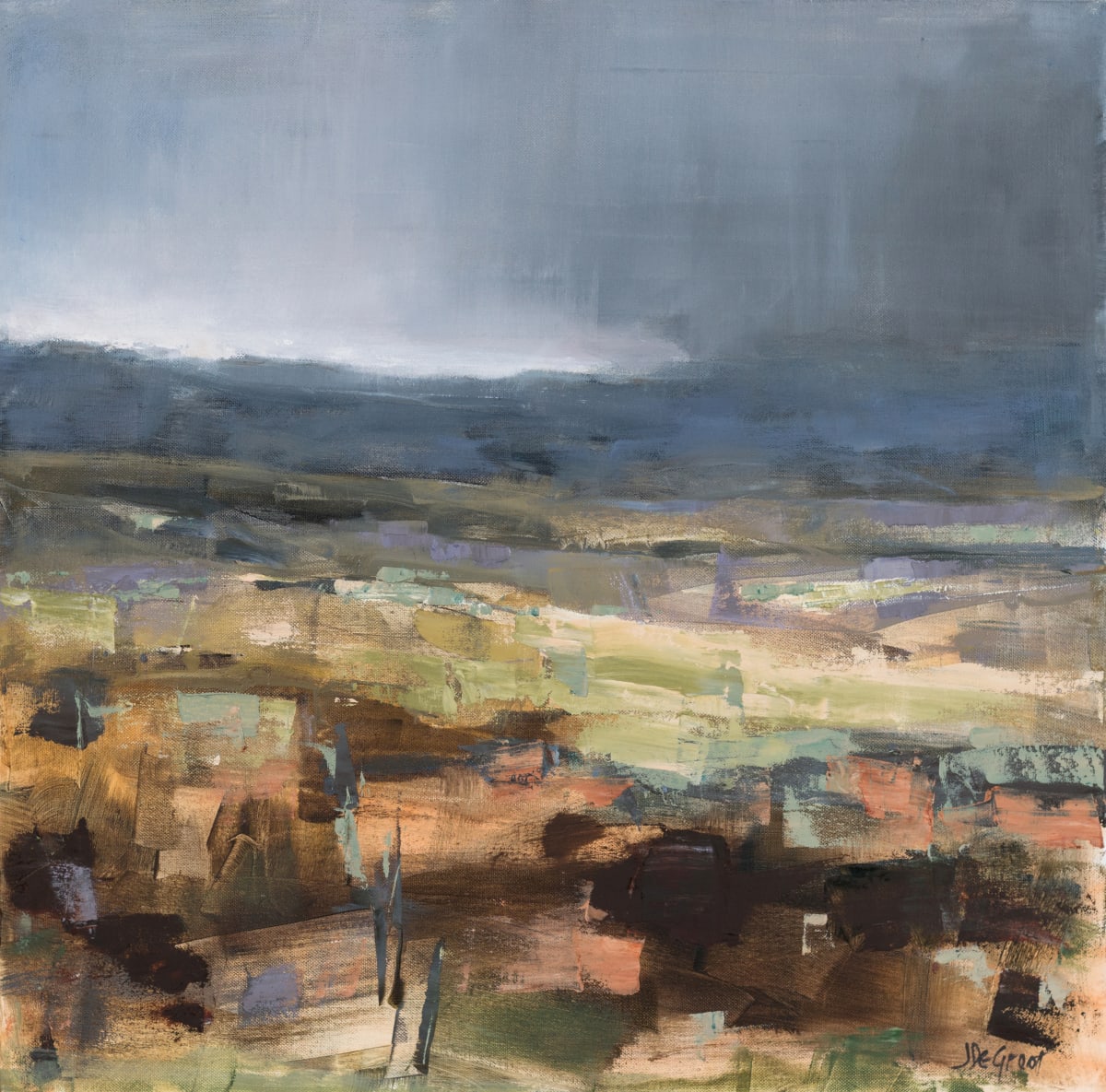 Racing the Rain by jennie de groot 