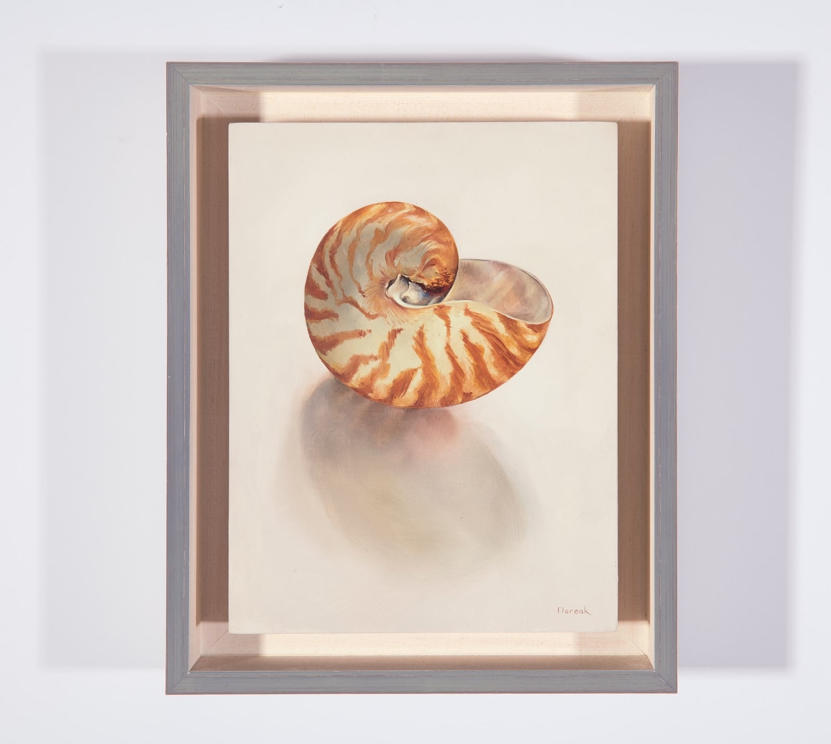 Nautilus by Ida Floreak 