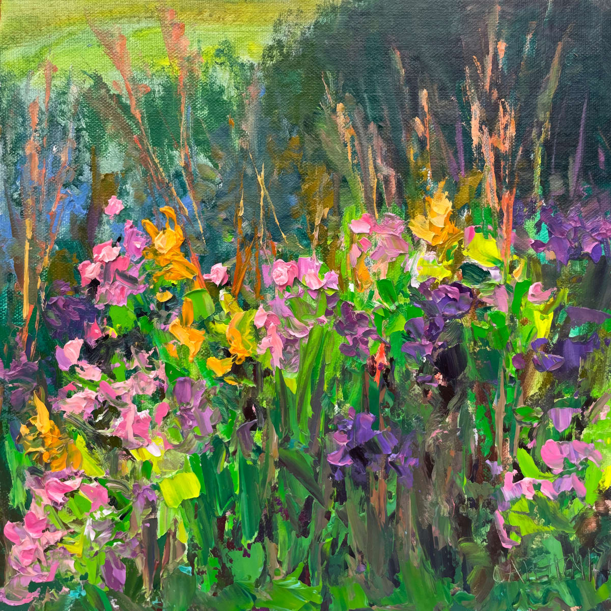 Asters in Sun by Maggie Capettini 