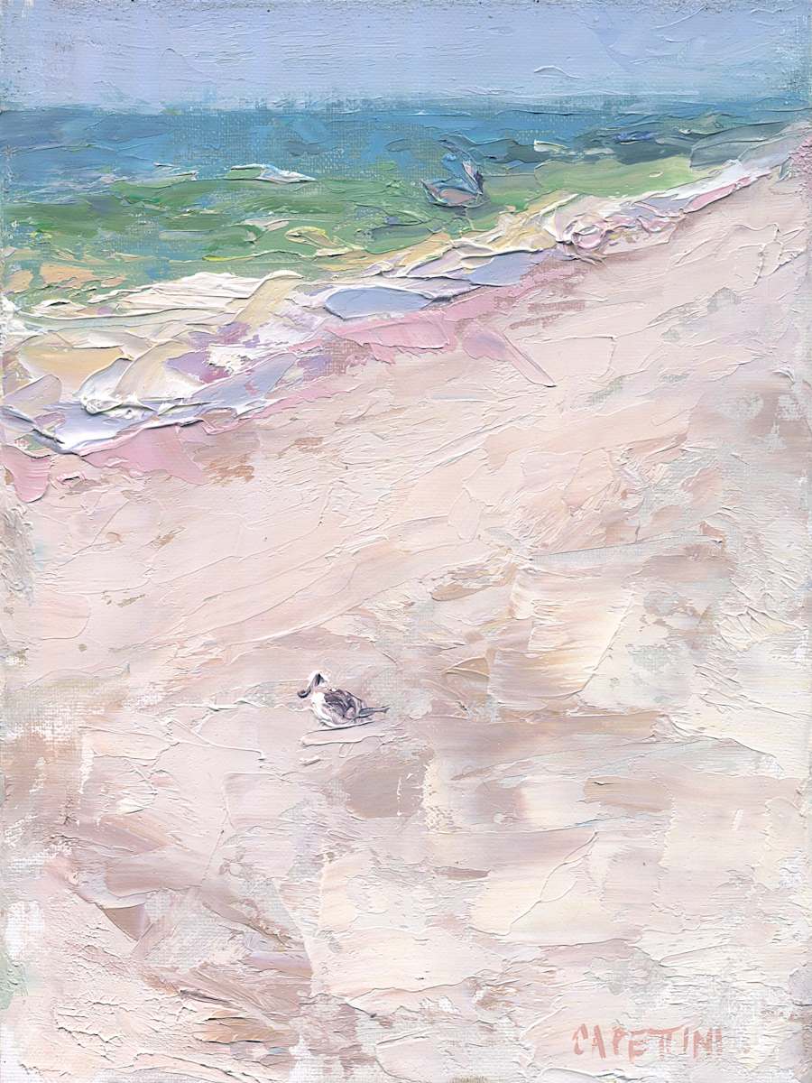Gull and Pelican by Maggie Capettini, Image 9.