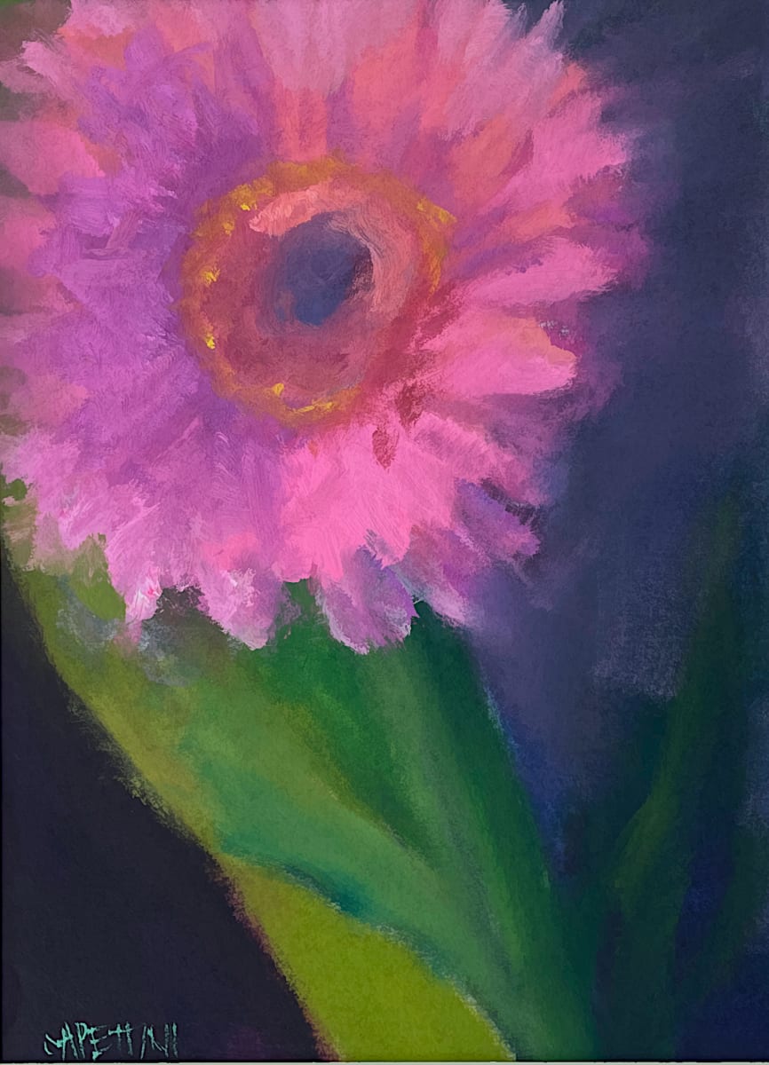 Hot Pink Gerbera by Maggie Capettini 