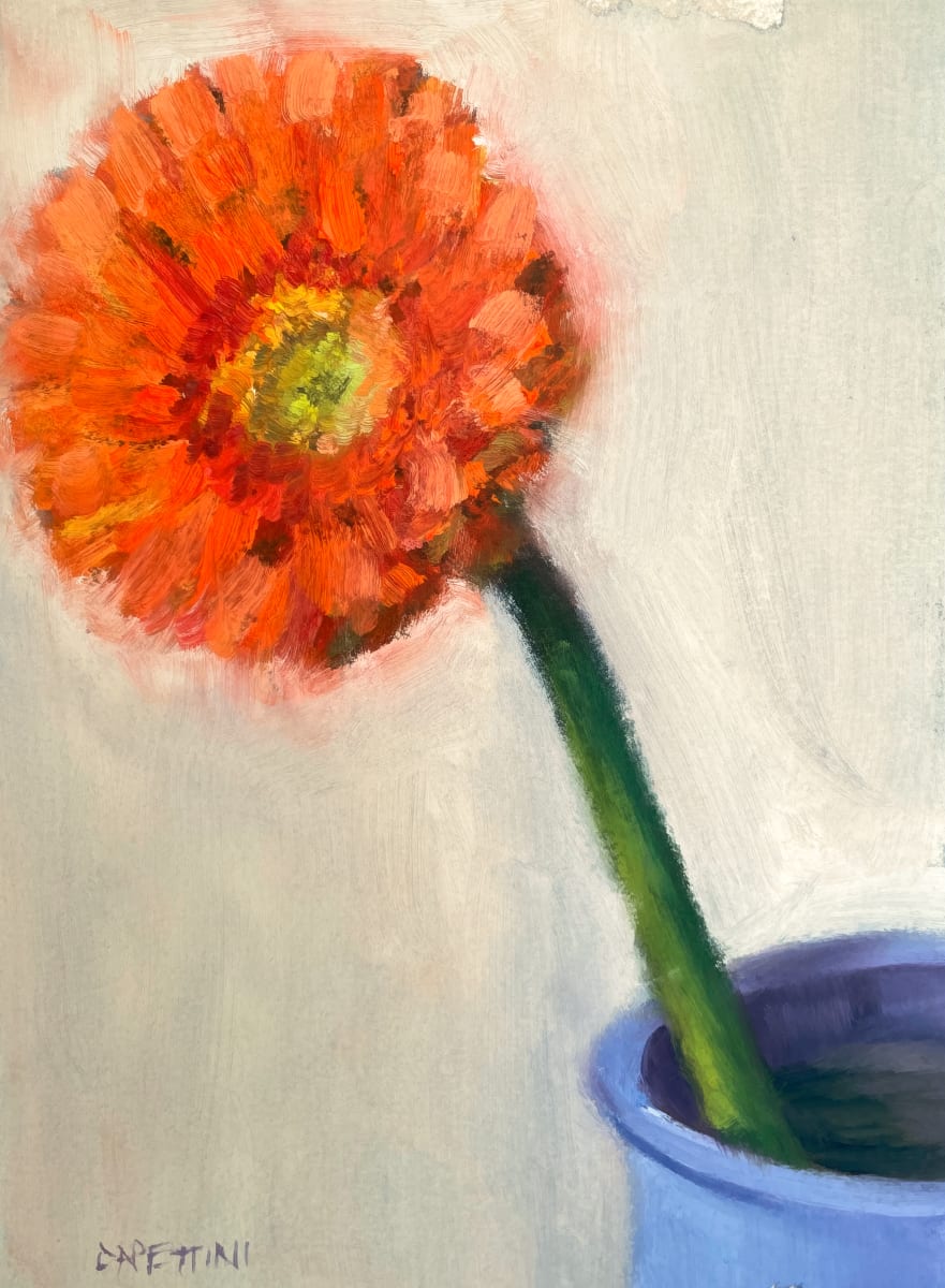 Orange Gerbera by Maggie Capettini 