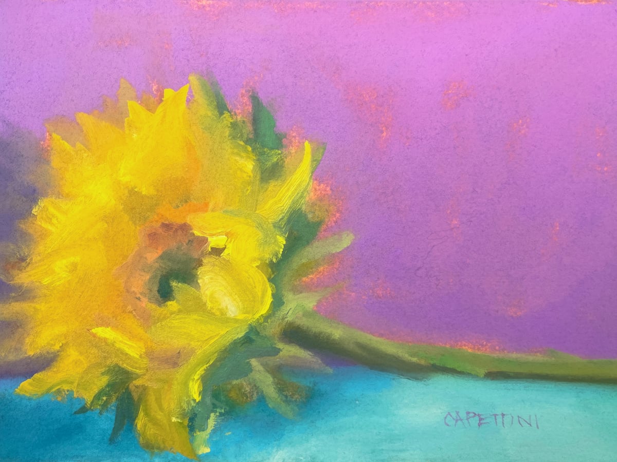 Sidelying Sunflower by Maggie Capettini 
