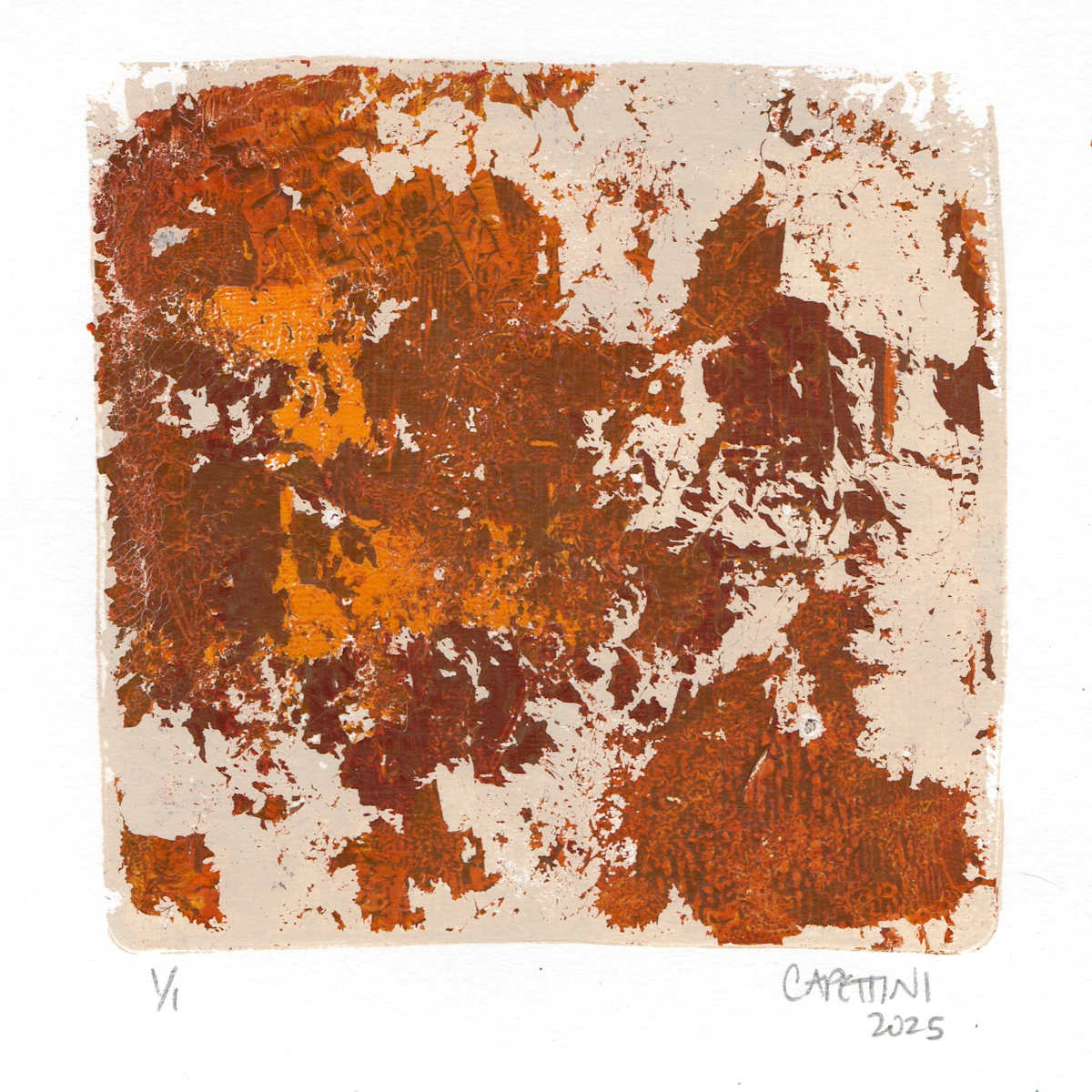 in flight, sunset by Maggie Capettini 