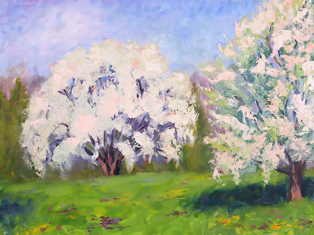 Flowering Pears by Maggie Capettini 