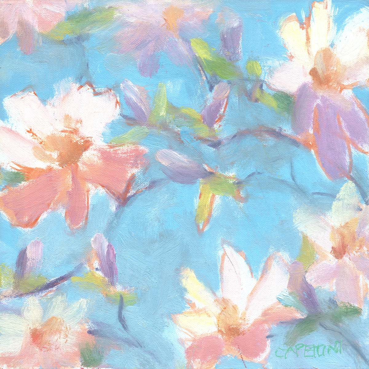 Merrill Magnolia by Maggie Capettini 