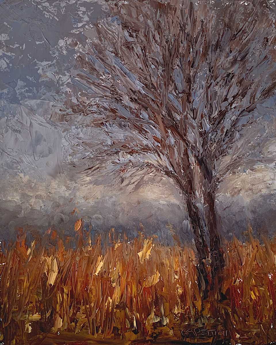 Schulenberg Prairie, November by Maggie Capettini, Image 3.