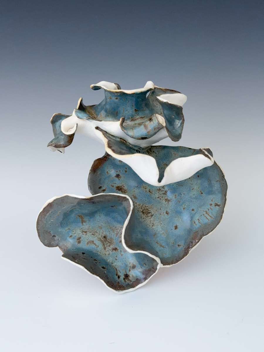 turkey tail-esque: cascade by Maggie Capettini 