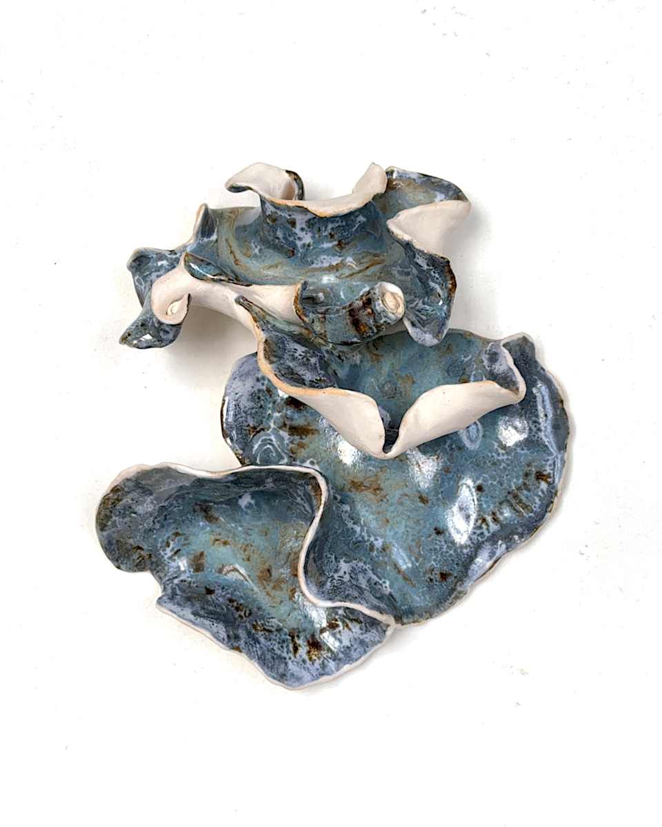 turkey tail-esque: cascade by Maggie Capettini, Image 1.
