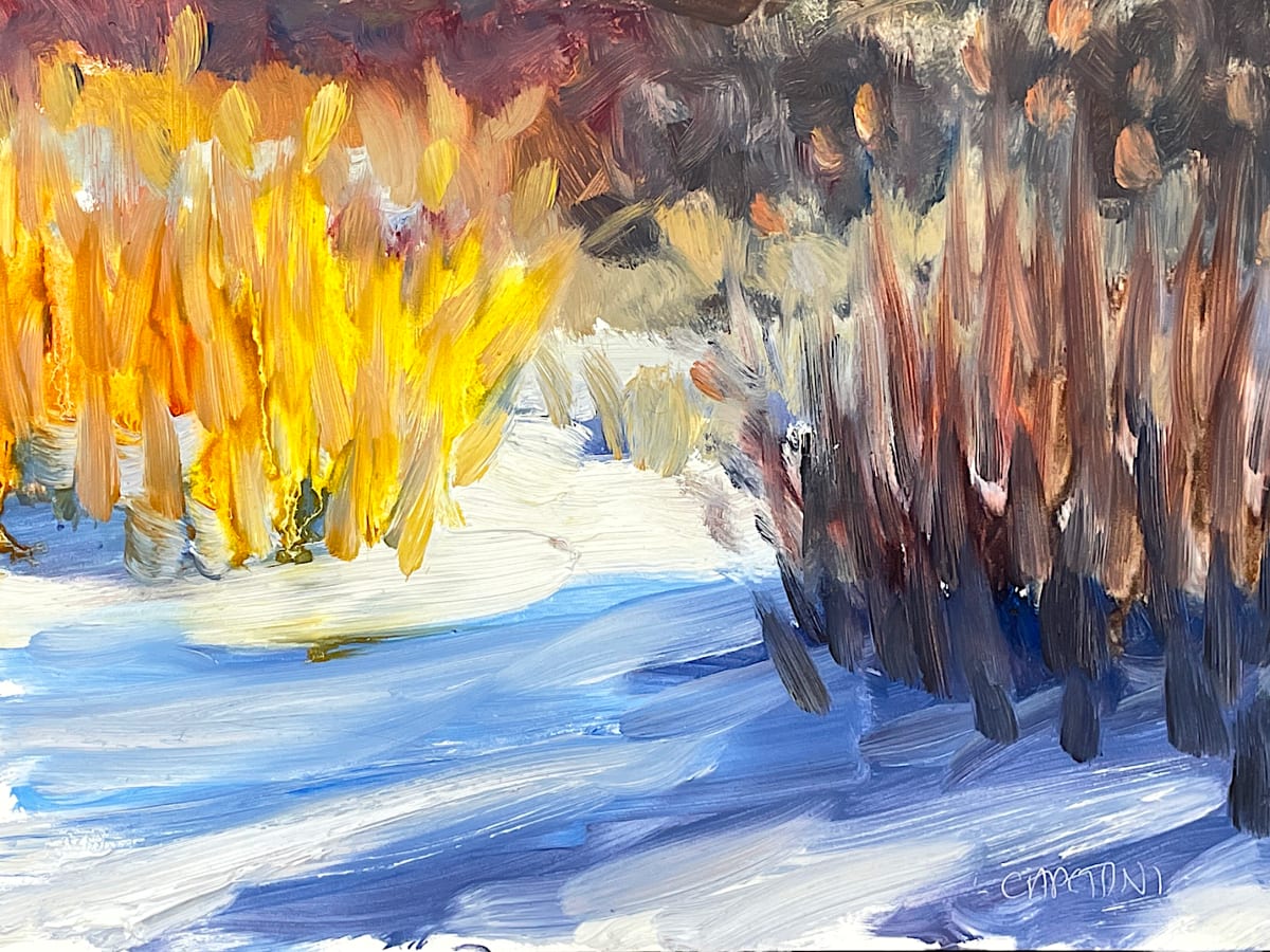 Winter Fire by Maggie Capettini 