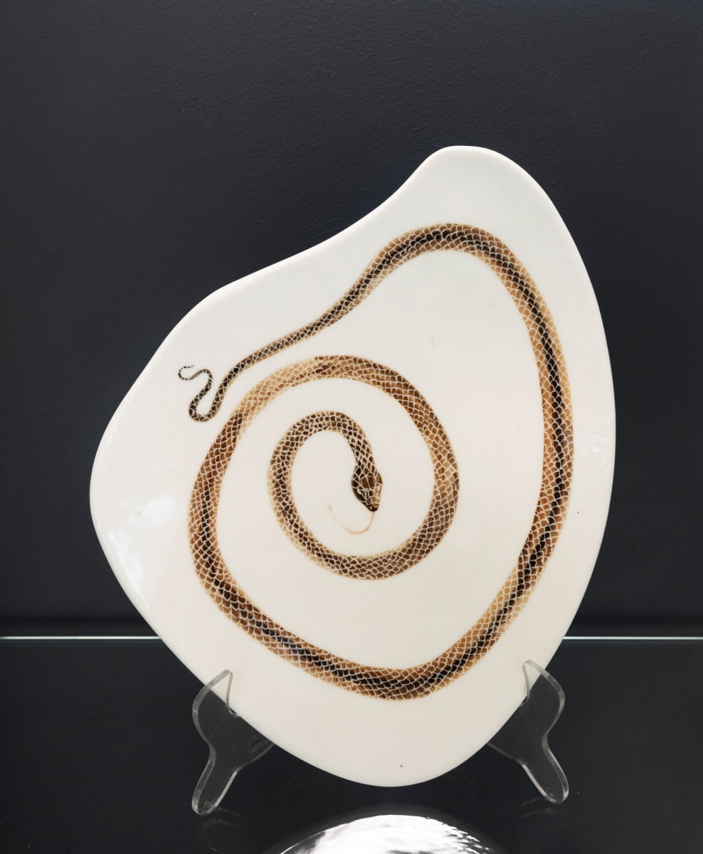 Serpentes: Pythonidae II by Deborah Kelly, Carlos Gomes, Image 2.