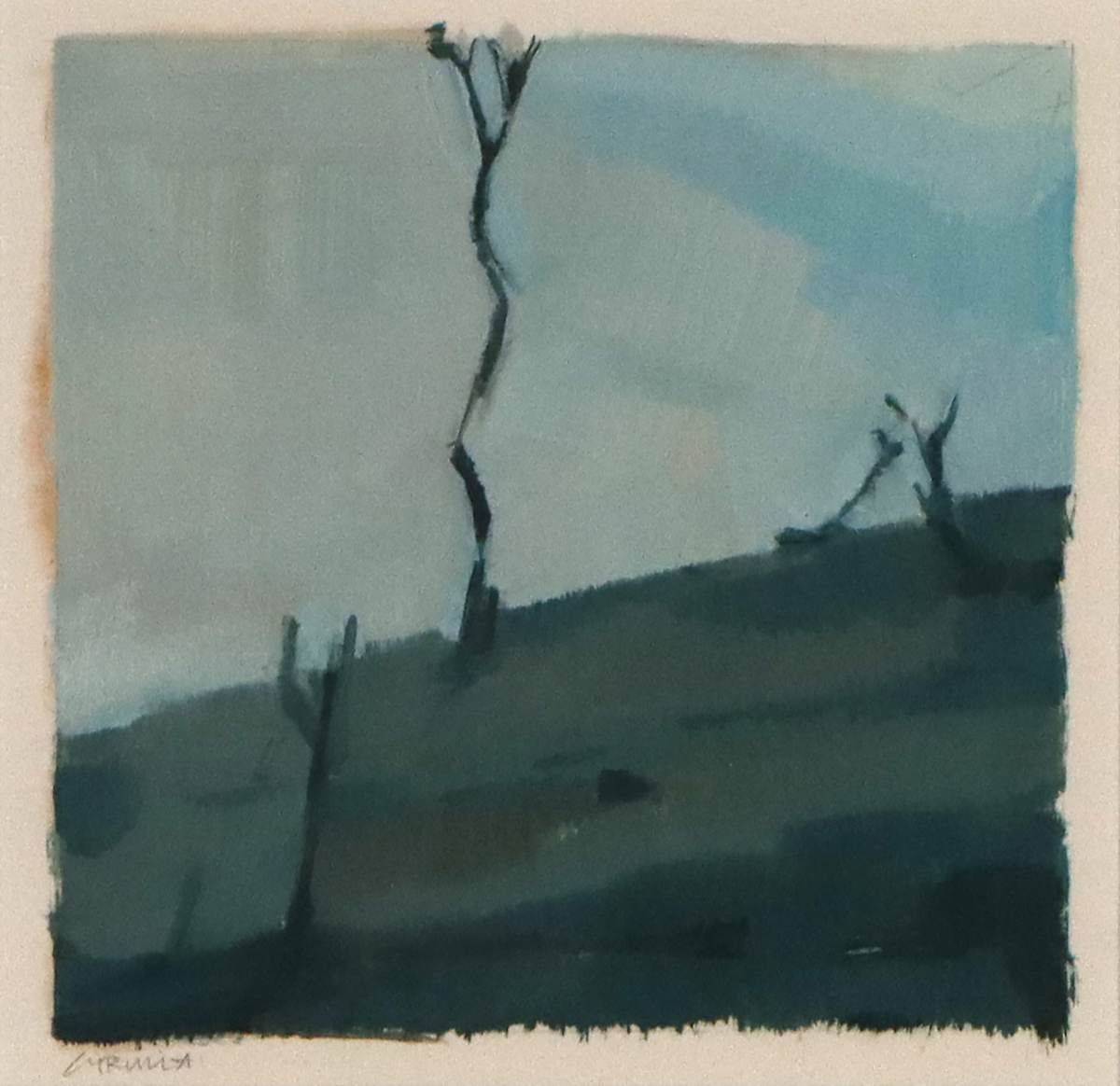 Discovering landscape by Dagmar Cyrulla 