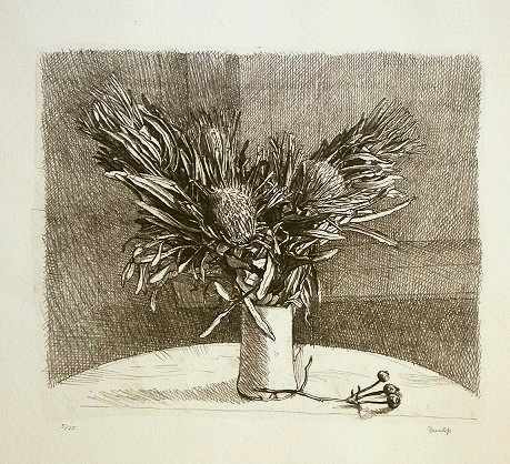 Wildflowers by Brian James Dunlop 