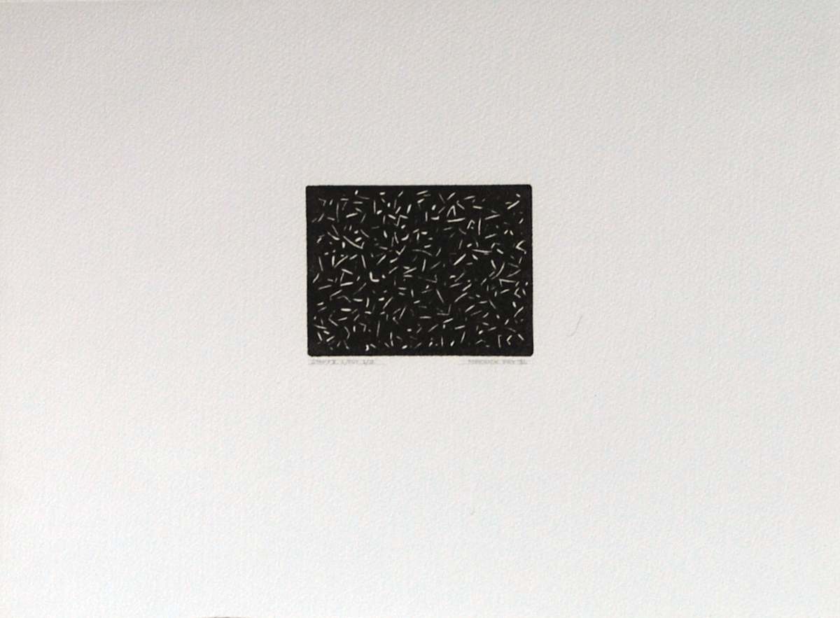 Untitled (Stamp 2. L/Cut) by Merrick Fry 