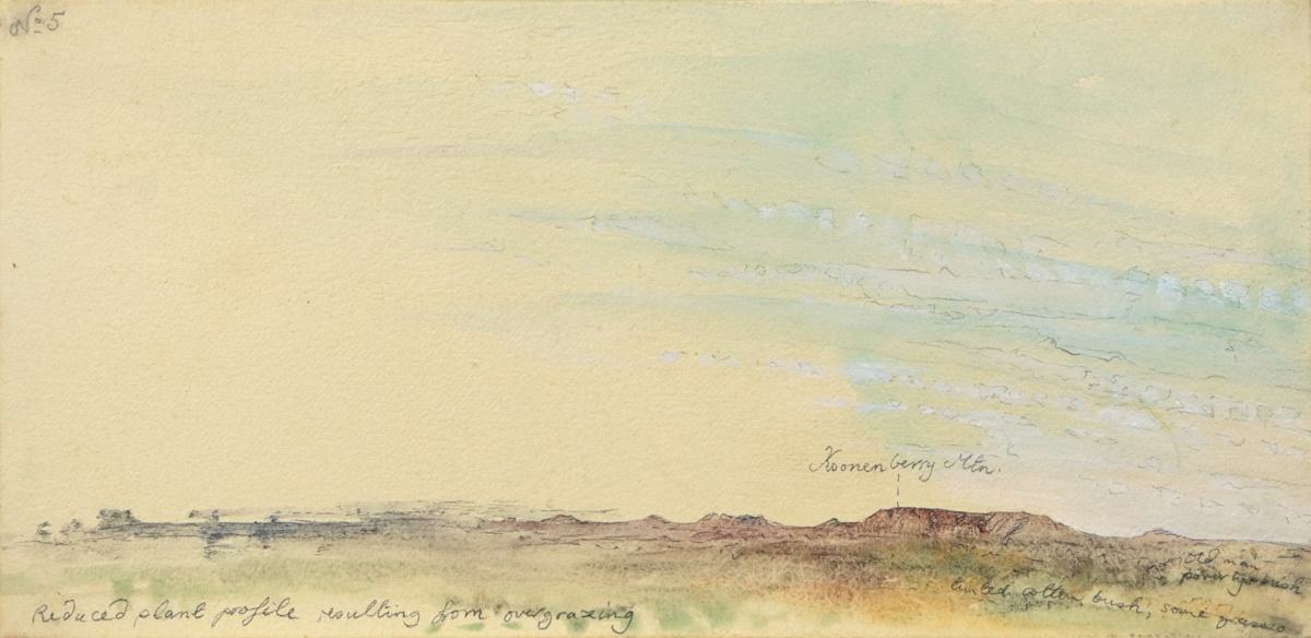 Tibooburra Trip suite 3, No 5 by Mandy Martin 