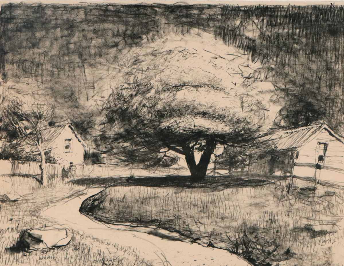 Caloola Tree by Lloyd Rees 