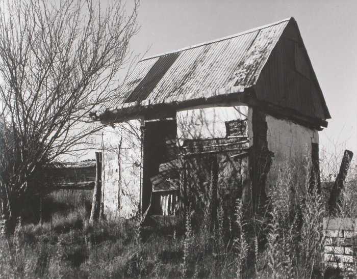 wattle and daub Dairy Building, Evans Plains by Frederick Smith 
