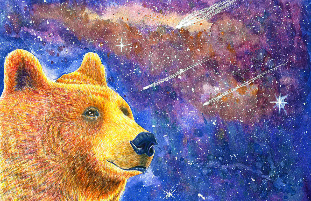Bear Night by Reggie Griffin, Image 13.