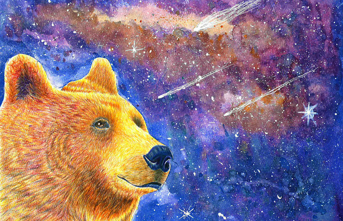 Bear Night by Reggie Griffin, Image 13.