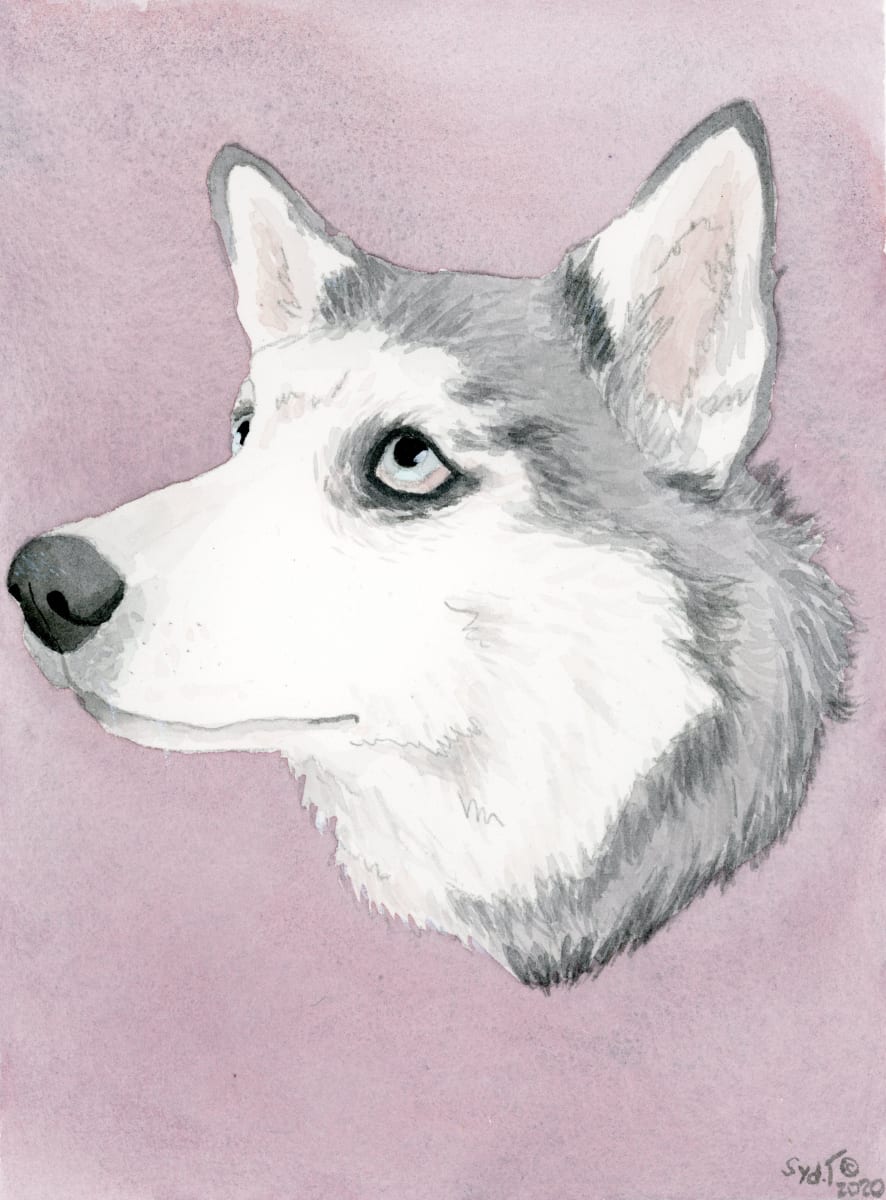 Scout - Commission by Sydney Turner  Image: Scout - Husky Pet Portrait 