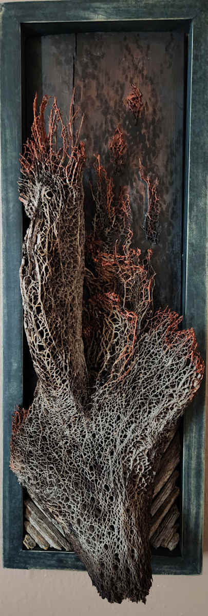 Nopal Fire by Joy Grant 